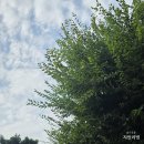 (야간)떠나자 풍경 수채화로 | 갤럭시 S25 울트라 티타늄 그레이 색상, 카메라 실사용 후기