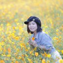 수원-0923 이미지