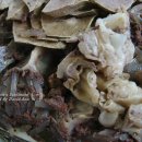 장날순대 이미지