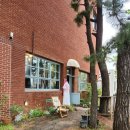 제주소호네 이미지