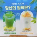 탐스&쥬청과 이미지
