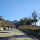 근산농장 네이버블로그