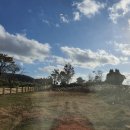 대춘목장 이미지