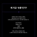 내가 만드는 숏폼(릴스) 영상 이미지