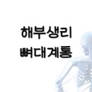 피티박스(PT BOX) 이미지