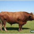 죽포농장 이미지