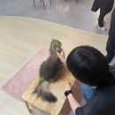 집사의하루 노원점 이미지