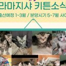 라마지샤 이미지