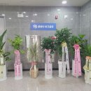 금천 스크린골프 이미지