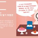 마법의딸기 주식회사