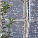 라라뷰티마켓 | 12월 파리 신혼여행 1일차 +르디아망 블루 디너 크루즈 솔직 후기