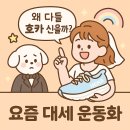 👟 패션 좀 안다는 사람들, 요즘 다 이 운동화 신더라