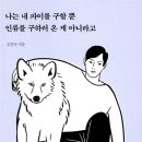 파이 온 이미지