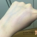 사바조이 이미지
