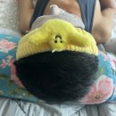 마크곤잘레스 세안밴드 | 핵귀여운 엔젤 세안밴드 추천