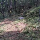 정광호농장 이미지