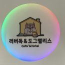 러버독&도그팰리스 이미지