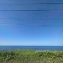 마전시장 | 1박2일로 다녀온 오타루 여행후기 (상점가 5시넘어 방문후기, 삼각시장, 텐구야마전망대, 렌가요코초...