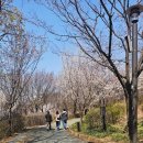 둔촌유치원 | 아이와 서울 주말나들이 모래놀이터가 있는 일자산 자연공원