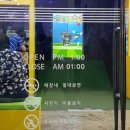 실내야구사격 이미지