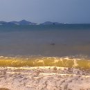 옥율천 | 거제 여행 두모몽돌해변 아쿠아리우스 펜션 1박 후기