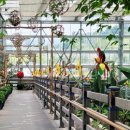 폭포수펜션 이미지