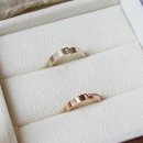 윈썸(winsome) 이미지