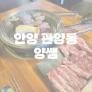 주식회사 다볼 | 안양 관양동 맛집 양쌤 수촌마을 종합운동장 근처 양꼬치 양갈비