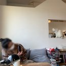 위드북스