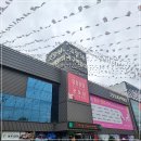 혜가한샘커튼 | 광양가구 합리적으로