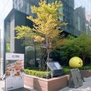 에피네 강남 네이버블로그