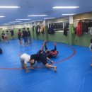 대림체육도장 이미지