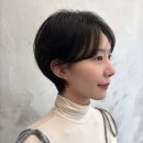 올애프터글로우 이미지