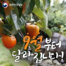 헐노래연습장 | 행복을 분무기로 뿌린 것 같은 좋은 하루 보내세요