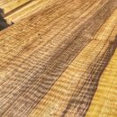 뮤직 뷰 이미지