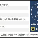 펫119 이미지