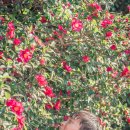 화흥농장 이미지