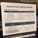 그랜드하얏트 아이스링크 입장권 가격 / 예약 / 후기 및 꿀팁