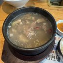 집도락 성북점 | 7월 둘째주/7.8-15