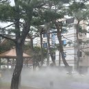 윤지네충무김밥