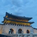 하늘내린 정무합기스쿨 | [갭이어 7일차] 경복궁 야간관람 후기(광화문육회-경복궁) (2025.09.03)