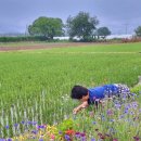 정서네농장 이미지