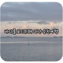경기도 문화의 날 [문화공감시대] part3 여름날의 음악이야기 | 바다를 보기 위해 떠난 순천여행