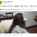 오니 - 제주시 동문로4길 9 | 오니