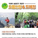 오름산장&트레킹