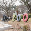 동물원에 여행가자 | 청주 가볼만한곳 볼거리 청주랜드 동물원 힐링 여행 나들이