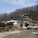 삼죽로 Daum카페