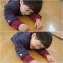 성규농장 이미지