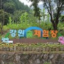 솔잎체험장 이미지