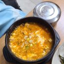 농가쉼터 | 강원 정선 여행 민둥산 최단 코스 등산 후 잔달미농가맛집 방문 후기